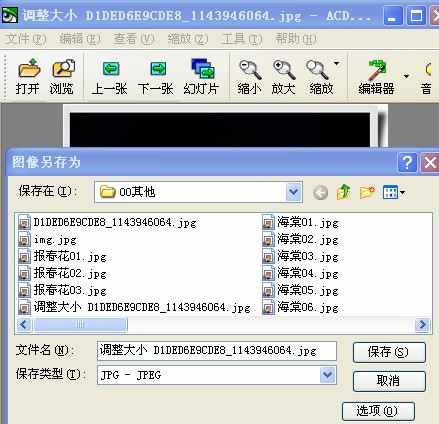 dvubb 图片点击可在新窗口打开查看