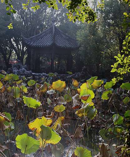 dvubb 按此在新窗口浏览图片