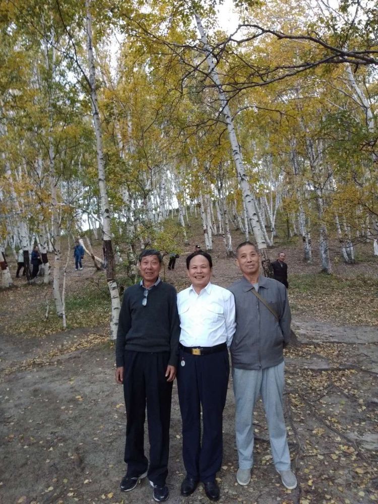dvubb 图片点击可在新窗口打开查看