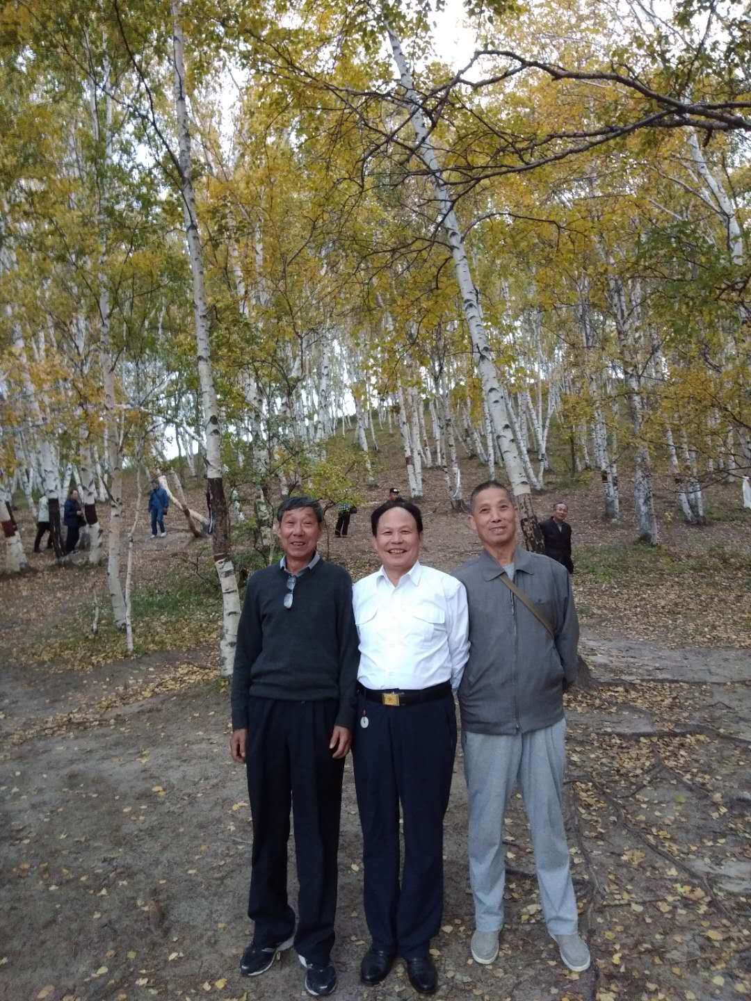 dvubb 图片点击可在新窗口打开查看