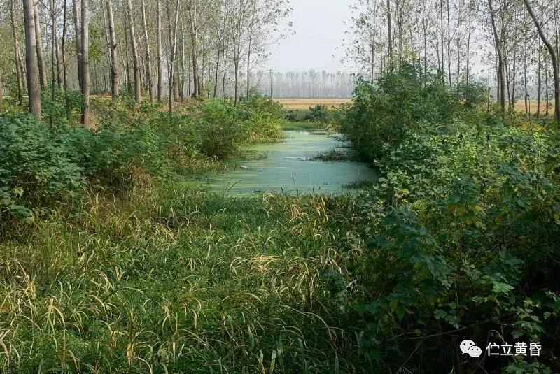 dvubb 按此在新窗口浏览图片