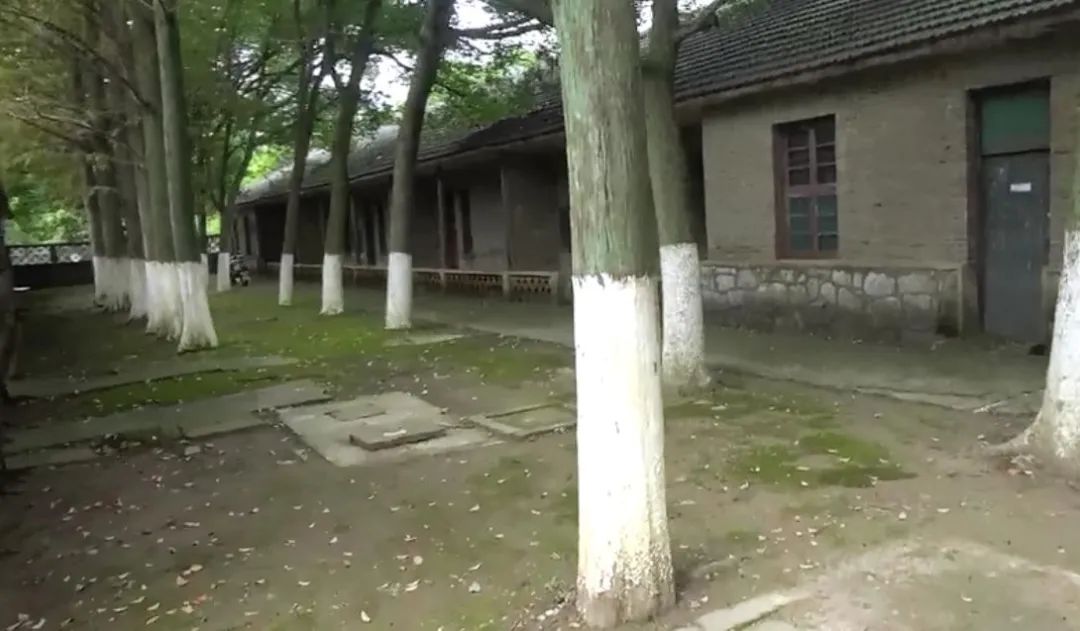 dvubb 按此在新窗口浏览图片